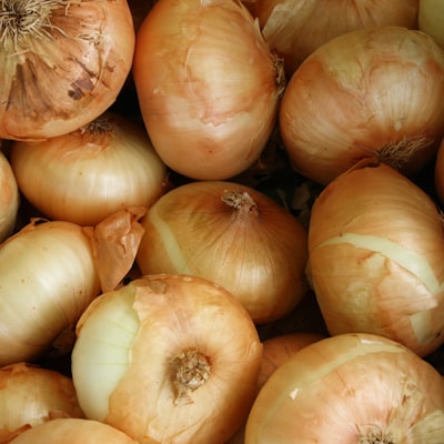 Cebola